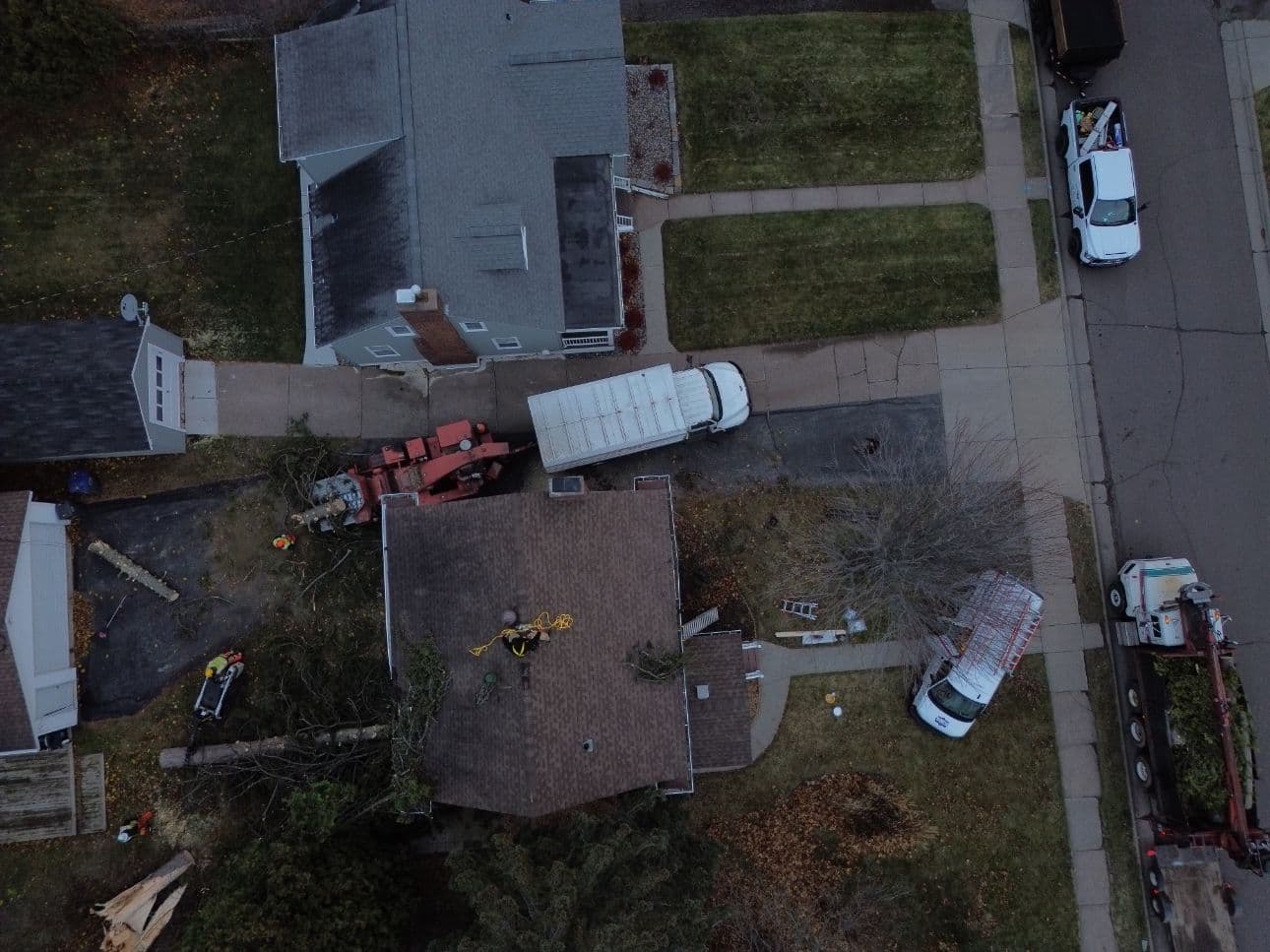 Project Storm Tree Strike Emergency Roof Tarping Done Right image