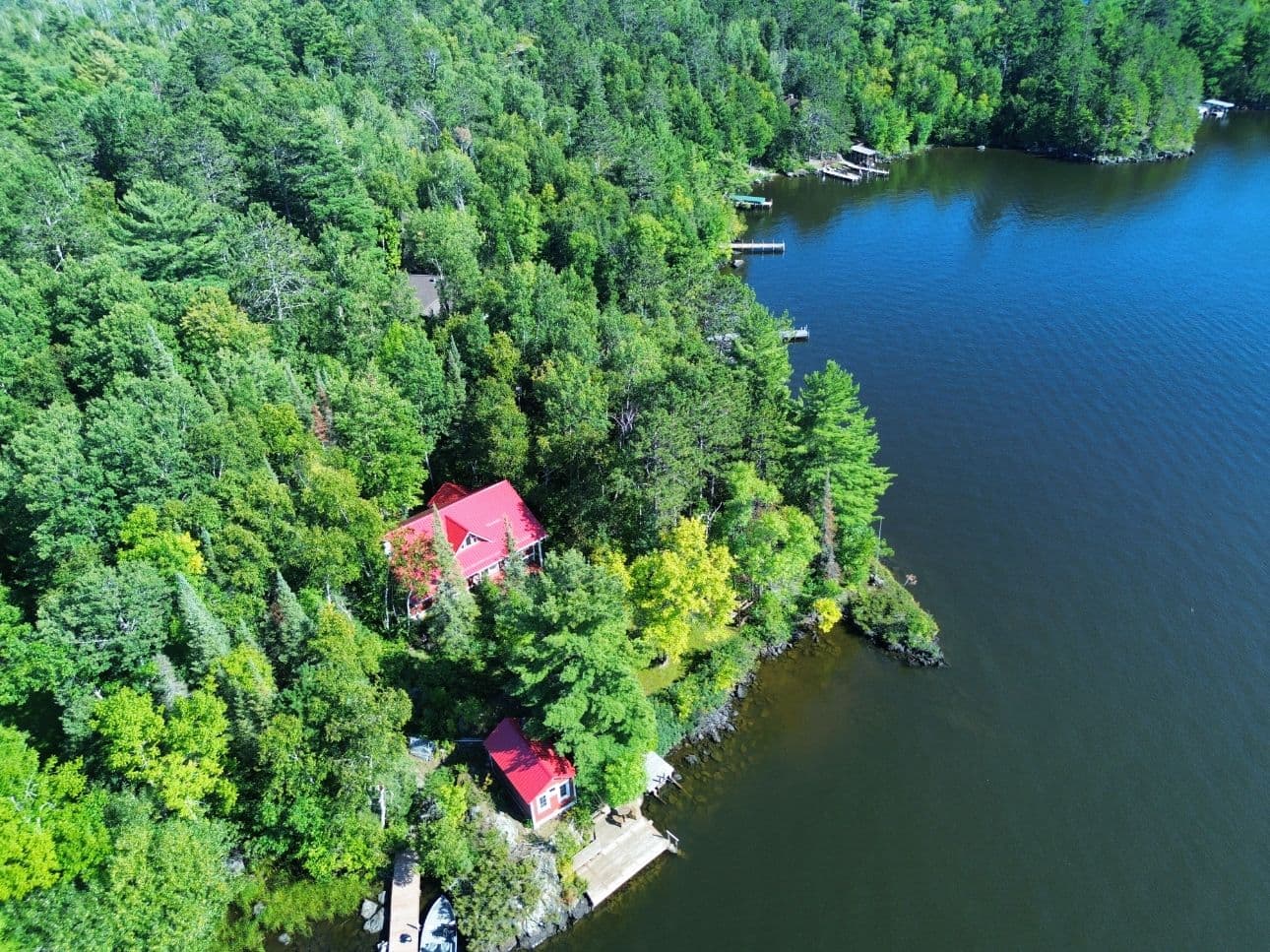 Serene Lakeside Cabin Roof Transformation image